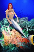Amaliela